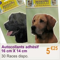 chien_adhesif